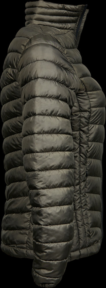 Women's Zepelin Jacket